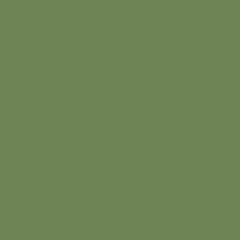 546 Courtyard Green - Paint Color