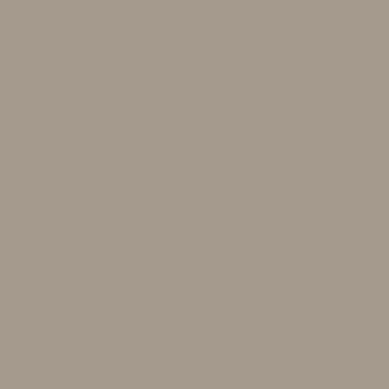 AC 36 Shenandoah Taupe Paint Color Shenandoah Paint